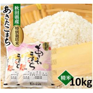 ふるさと納税 大潟村 令和7年産　特別栽培米あきたこまち10kg(白米)