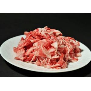 ふるさと納税 西脇市 【神戸牛 牝】霜降り切り落とし肉　1kg(500g×2)