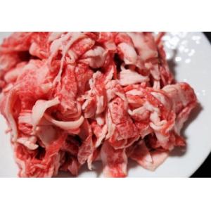 ふるさと納税 西脇市 【神戸牛 牝】霜降り切り落とし肉　500g