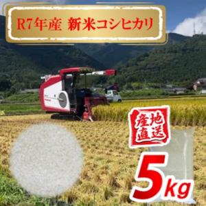 ふるさと納税 鬼北町 令和7年産 愛媛県産 コシヒカリ 5kg(精米)