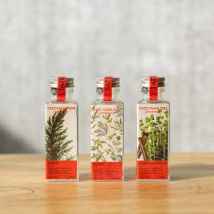 ふるさと納税 館山市 【クラフトジン】TATEYAMA GIN 3種飲み比べセット 100ml×3種