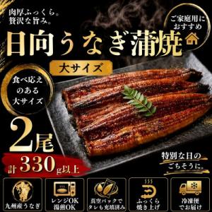 ふるさと納税 日向市 日向うなぎ蒲焼 大2尾(計330g以上)