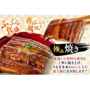 ふるさと納税 日向市 日向うなぎ蒲焼 大2尾(...の詳細画像2