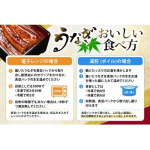 ふるさと納税 日向市 日向うなぎ蒲焼 大2尾(...の詳細画像3