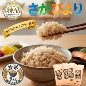 ふるさと納税 吉野ヶ里町 令和7年産【玄米さがびより9kg】五つ星お米マイスター厳選!(吉野ヶ里町)