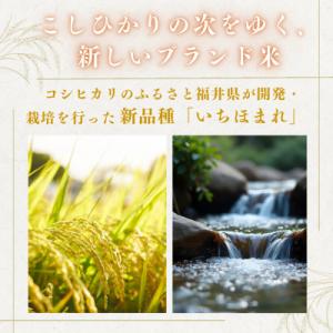 ふるさと納税 小浜市 福井県産いちほまれ白米10kgの詳細画像1
