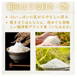 ふるさと納税 小浜市 福井県産いちほまれ白米10kgの詳細画像2