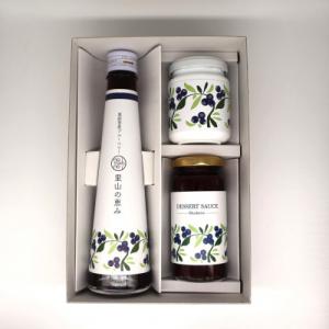 ふるさと納税 能登町 notono里山ブルーベリーセット