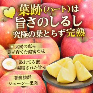 ふるさと納税 青森市 【26年11月から発送】...の詳細画像1