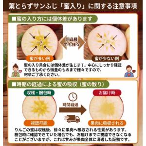 ふるさと納税 青森市 【26年11月から発送】...の詳細画像2