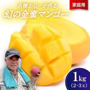 ふるさと納税 今帰仁村 【2026年7月から順次発送・家庭用】名物おじーが作る幻の金蜜マンゴー1kg...
