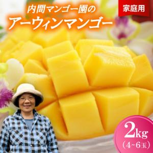ふるさと納税 今帰仁村 【2026年7月から順次発送・家庭用】内間マンゴー園のアーウィンマンゴー2kg(4〜6玉)