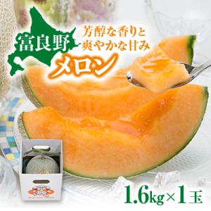 ふるさと納税 富良野市 【2026年発送】赤肉メロン　1.6kg×1玉