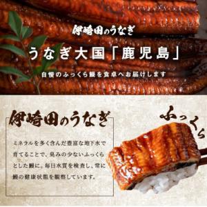 ふるさと納税 志布志市 【数量限定】鹿児島県産...の詳細画像1