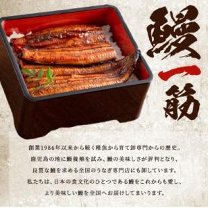 ふるさと納税 志布志市 【数量限定】鹿児島県産...の詳細画像2