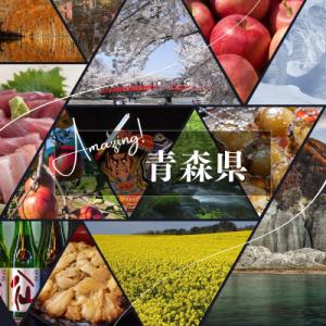 ふるさと納税 青森県 【返礼品なし】青森県を応援!【気持ちっこ】