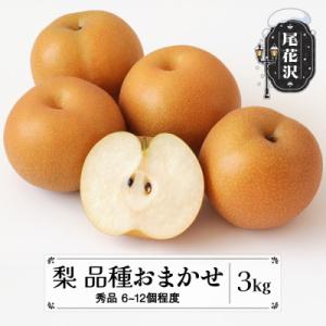ふるさと納税 尾花沢市 先行予約 和梨 品種おまかせ(幸水または豊水)秀品 3kg 2026年産 山形 sb-nahkx3