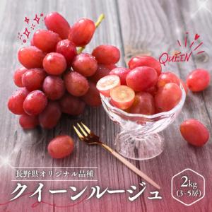 ふるさと納税 松川町 ぶどう クイーンルージュ(長野県産秀品)約2kg【2026年10月中旬〜11月上旬頃発送予定】