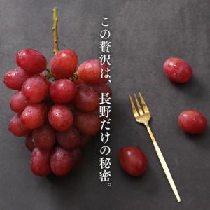 ふるさと納税 松川町 ぶどう クイーンルージュ...の詳細画像1
