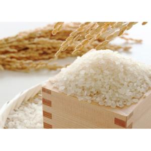 ふるさと納税 茅野市 【令和7年産】ミルキークイーン　精米　5kg