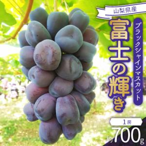 ふるさと納税 笛吹市 2026年発送　富士の輝き　1房(約700g)