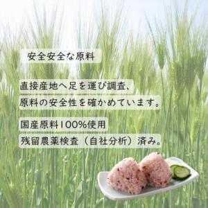 ふるさと納税 中央市 【はくばく】国産「発芽も...の詳細画像3