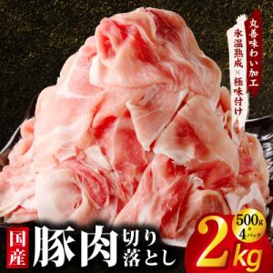 ふるさと納税 泉佐野市 国産 豚肉 切り落とし ...の商品画像