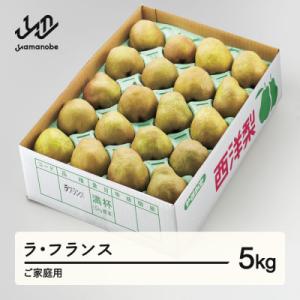 ふるさと納税 山辺町 先行予約 ラ・フランス ○秀品 ご家庭用 約5kg(12〜20個程度) 山形県産 tf-lamxx5