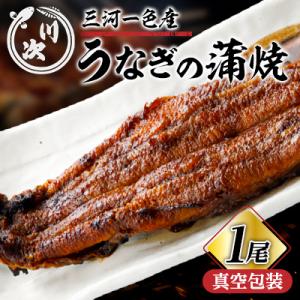 ふるさと納税 養老町 うなぎの蒲焼(1尾)
