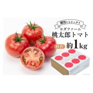 ふるさと納税 中央市 【2026年発送　先行受付】【秋作】トマト 桃太郎約1kg