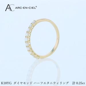 ふるさと納税 泉佐野市 アルカンシェル YGダイ...の商品画像
