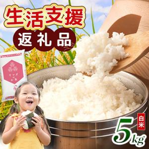 ふるさと納税 愛荘町 【令和7年産含む】 近江ブレンド米 5kg 愛荘町産 白米
