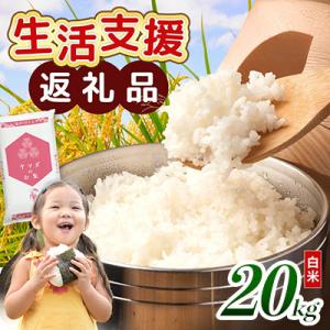 ふるさと納税 愛荘町 【令和7年産含む】 近江ブレンド米 20kg 愛荘町産 白米