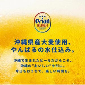 ふるさと納税 豊見城市 オリオン ザ・ドラフト...の詳細画像2