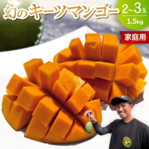 ふるさと納税 今帰仁村 【2026年8月下旬から順次発送・家庭用】みなとばる農園の幻のキーツマンゴー...