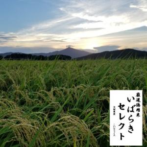 ふるさと納税 茨城県 茨城県産こしひかりミックス 白米5kg 令和7年産