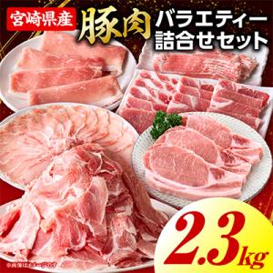 ふるさと納税 国富町 豚肉バラエティー詰合せセット 2.3kg(国富町)