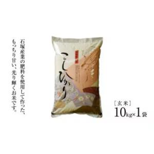 ふるさと納税 桜川市 《 令和7年産 》 コシヒカリ 玄米 10kg (茨城県共通返礼品 かすみがうら市)