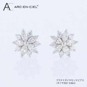 ふるさと納税 泉佐野市 ARC-EN-CIEL ...の商品画像