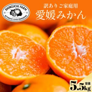 ふるさと納税 八幡浜市 【先行受付】訳ありだけど美味しさそのまま【訳あり】愛媛みかん 5.5kg【A...