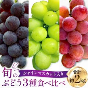 ふるさと納税 小林市 【もぎたて直送】シャインマスカット・旬のぶどう 3種 食べ比べ アソート 計約2kg(E077)