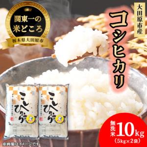 ふるさと納税 大田原市 【令和7年産新米 数量限定】栃木県大田原市産 藤田farmのコシヒカリ無洗米10kg(5kg×2袋)