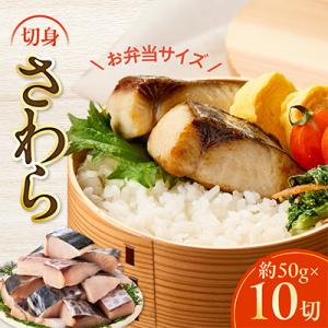 ふるさと納税 泉佐野市 【お弁当サイズ】さわら 切身 約50g×10切れ 小分け 500g 訳あり