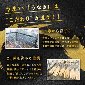 ふるさと納税 下妻市 国産 うなぎ蒲焼 上うな...の詳細画像1