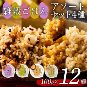 ふるさと納税 松原市 米匠庵 雑穀ご飯4種 食べ比べ 160g×12個 十六雑穀・発芽玄米・コシヒカリ玄米・もち麦 各3個