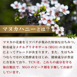 ふるさと納税 和泉市 インカナム マヌカハニー...の詳細画像1