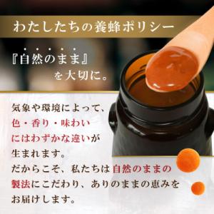 ふるさと納税 和泉市 インカナム マヌカハニー...の詳細画像2