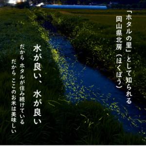 ふるさと納税 津山市 【令和8年産】新米 岡山...の詳細画像2