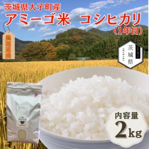 ふるさと納税 茨城県 令和7年産新米 アミーゴ米2kg(コシヒカリ・天日干し米(1年目))栽培期間中農薬・化学肥料不使用