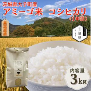 ふるさと納税 茨城県 令和7年産新米 アミーゴ米3kg(コシヒカリ・天日干し米(1年目))栽培期間中農薬・化学肥料不使用
